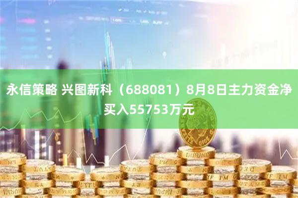 永信策略 兴图新科（688081）8月8日主力资金净买入55753万元