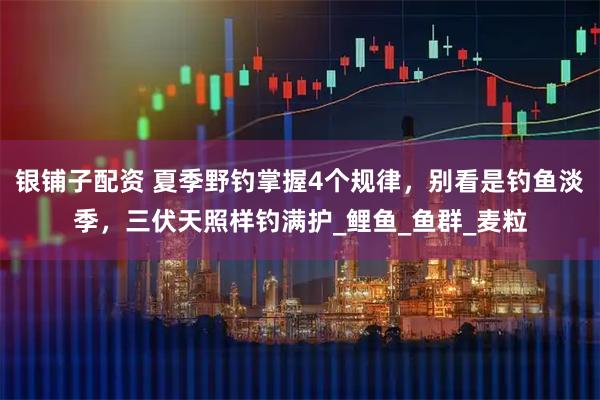 银铺子配资 夏季野钓掌握4个规律,别看是钓鱼淡季,三伏天照样钓满护_鲤鱼_鱼群_麦粒