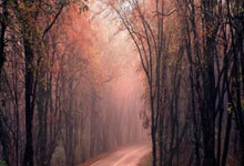 股票交易用哪个证券公司好:才开户的账号多久能买股票-9月金股大数据出炉 电子断层式领跑 卖方建言“慢牛心态”